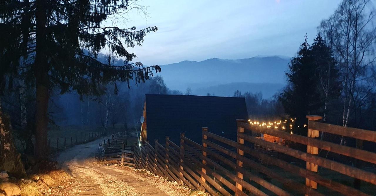 Harmony Villa Straja Lupeni  Exteriör bild